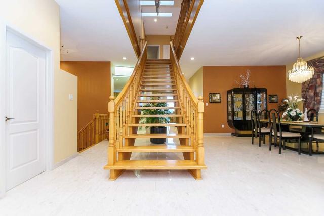 239 Maple Leaf Dr, House detached with 4 bedrooms, 6 bathrooms and 6 parking in Toronto ON | Image 35