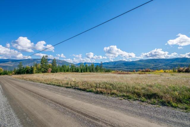 000 Cochrane Road, Home with 0 bedrooms, 0 bathrooms and null parking in North Okanagan E BC | Image 7