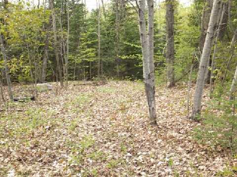 part 2 Highway 503, Home with 0 bedrooms, 0 bathrooms and null parking in Highlands East ON | Image 5