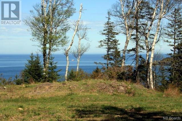 00 Whistle Road, Home with 0 bedrooms, 0 bathrooms and null parking in Grand Manan NB | Image 19