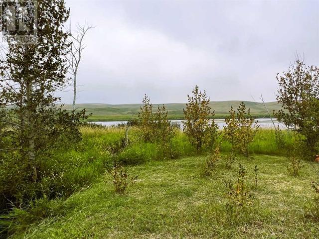 9023 Highway 41, House detached with 1 bedrooms, 0 bathrooms and null parking in Cypress County AB | Image 39