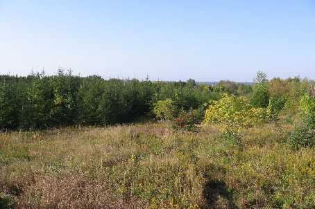0 Pt Lot 16, Conc 11, Home with 0 bedrooms, 0 bathrooms and null parking in Kawartha Lakes ON | Image 7