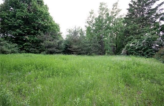 Lot 2 Thompson St, Home with 0 bedrooms, null bathrooms and null parking in Innisfil ON | Image 1