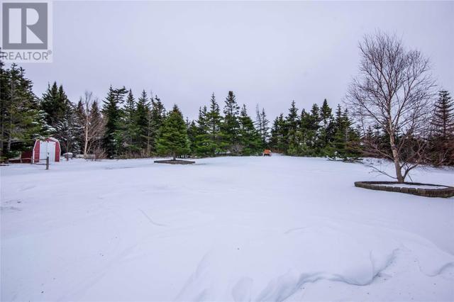 123 Masons Road, House detached with 4 bedrooms, 2 bathrooms and null parking in Avondale NL | Image 31