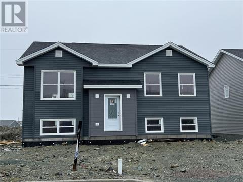 16 Sir Wilfred Grenfell Street, House other with 5 bedrooms, 3 bathrooms and null parking in St. John's NL | Card Image
