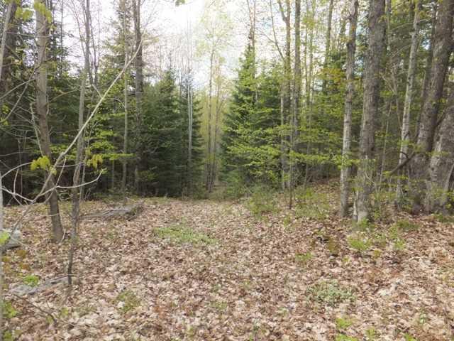 0 Highway 503, Home with 0 bedrooms, 0 bathrooms and null parking in Highlands East ON | Image 4