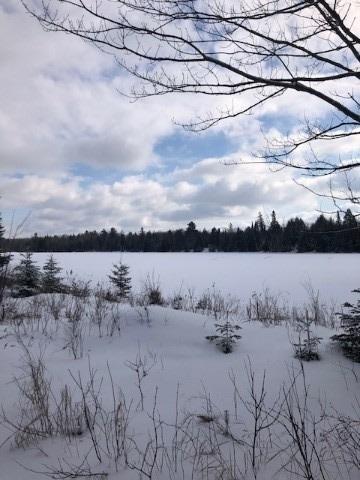 1588 County Rd 36, Home with 0 bedrooms, 0 bathrooms and null parking in Trent Lakes ON | Image 2