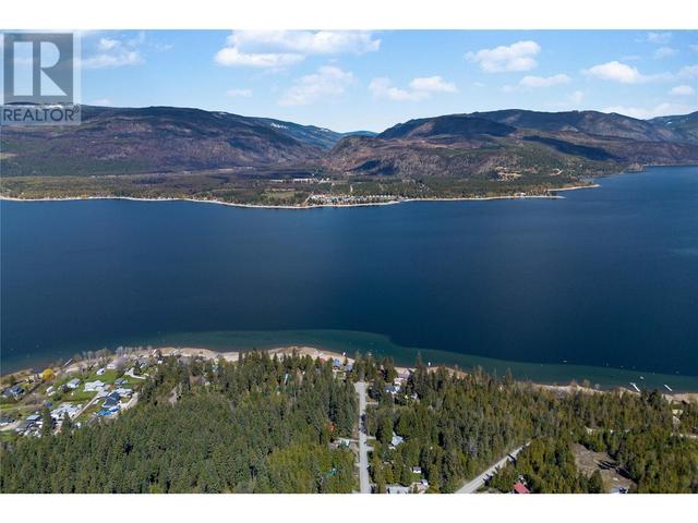 1398 Gillespie Road, House detached with 3 bedrooms, 2 bathrooms and 3 parking in Columbia Shuswap C BC | Image 62