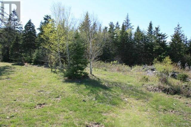 00 Whistle Road, Home with 0 bedrooms, 0 bathrooms and null parking in Grand Manan NB | Image 7