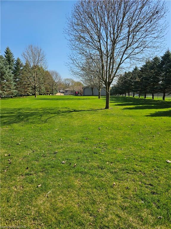 461' deep lot with Mature trees | Image 38