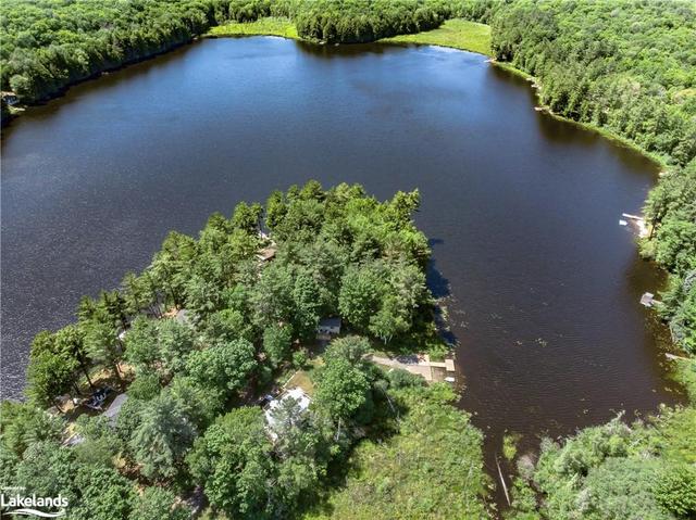 Wonderful wetlands adjacent to the property give you the wonderful sounds of spring peepers & other frogs, a huge selection of birds, beavers & more! | Image 41