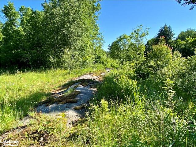 00 Old Stage Road, Home with 0 bedrooms, 0 bathrooms and null parking in Parry Sound, Unorganized, Centre Part ON | Image 24