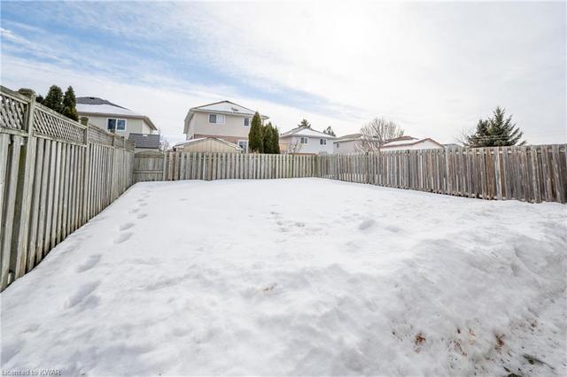 193 Grey Fox Drive, House detached with 3 bedrooms, 1 bathrooms and 3 parking in Kitchener ON | Image 35