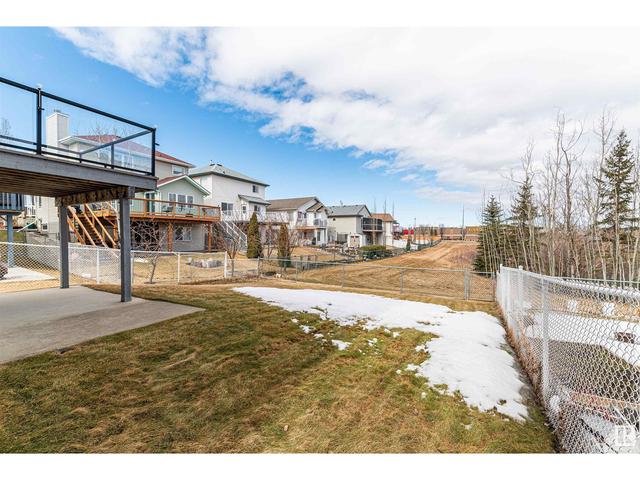 348 Wild Rose Wy Nw, House detached with 3 bedrooms, 3 bathrooms and null parking in Edmonton AB | Image 52