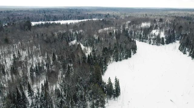 1588 County Rd 36, Home with 0 bedrooms, 0 bathrooms and null parking in Trent Lakes ON | Image 23