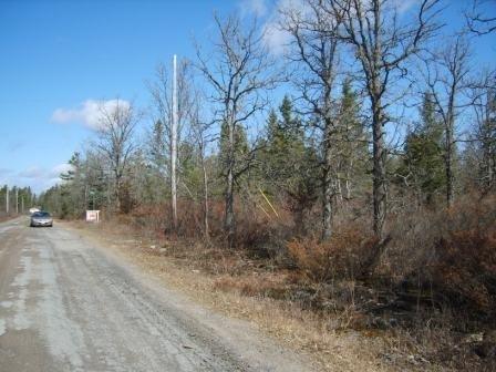 Lot 84 Red Oak Rd, Home with 0 bedrooms, null bathrooms and null parking in Marmora and Lake ON | Image 3