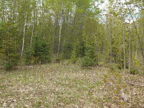 part 2 Highway 503, Home with 0 bedrooms, 0 bathrooms and null parking in Highlands East ON | Image 1