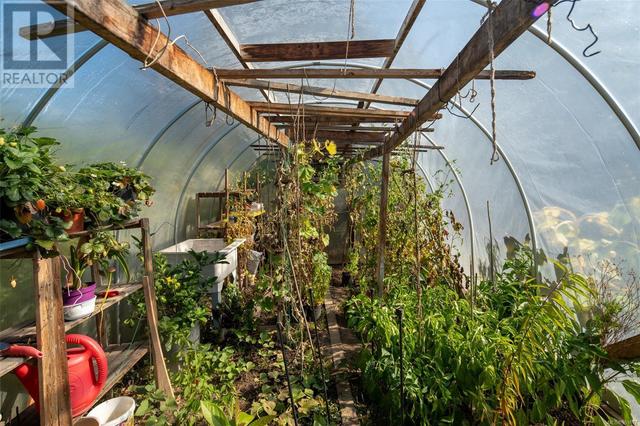 Greenhouse | Image 35