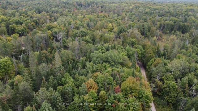 5354 Buckshot Lake Rd, House detached with 2 bedrooms, 0 bathrooms and 8 parking in North Frontenac ON | Image 22