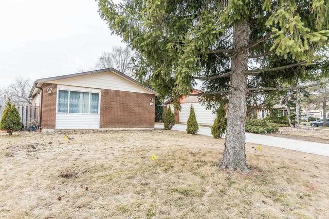 19 Finchley Cres, House detached with 3 bedrooms, 2 bathrooms and 8 parking in Brampton ON | Image 23