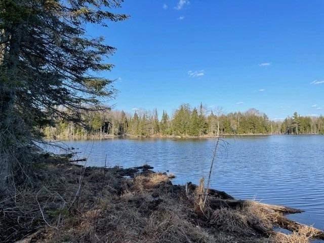 1588 County Rd 36, Home with 0 bedrooms, 0 bathrooms and null parking in Trent Lakes ON | Image 21