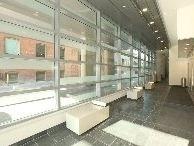 316 - 95 Bathurst St, Condo with 1 bedrooms, 1 bathrooms and null parking in Toronto ON | Image 3