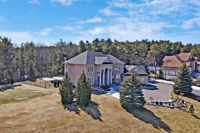 2 Pine Hills Crt, House detached with 5 bedrooms, 5 bathrooms and 28 parking in East Gwillimbury ON | Image 32
