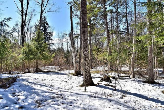 00 Highway 36 Rd, Home with 0 bedrooms, null bathrooms and null parking in Kawartha Lakes ON | Image 1