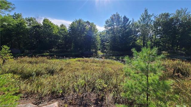 00 Burke Settlement Road, Home with 0 bedrooms, 0 bathrooms and null parking in Central Frontenac ON | Image 44