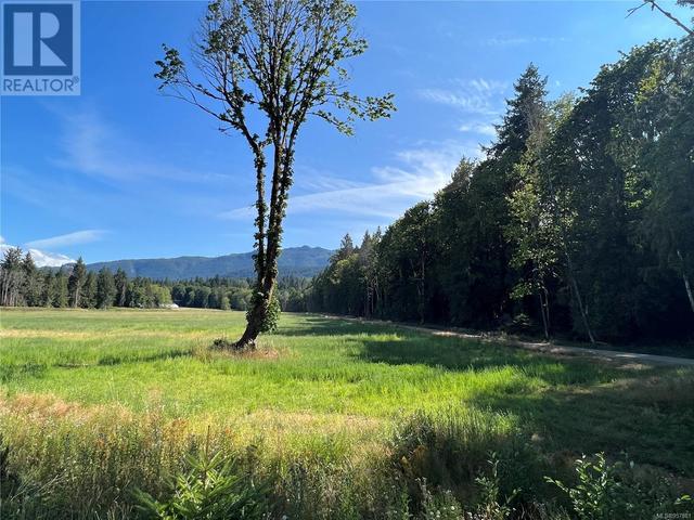 8991 Island Hwy S, House detached with 2 bedrooms, 1 bathrooms and 10 parking in Comox Valley A BC | Image 13