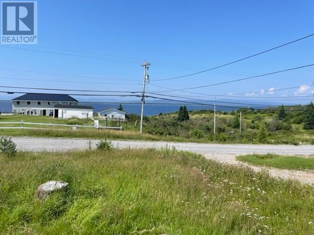 343 Main Street, House detached with 4 bedrooms, 1 bathrooms and null parking in St. George's NL | Image 7