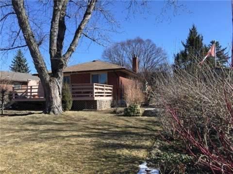 8 Trophy Dr, House detached with 3 bedrooms, 2 bathrooms and 4 parking in Toronto ON | Image 13
