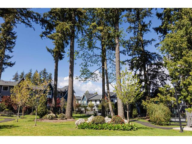 2 - 2888 156 Street, House attached with 4 bedrooms, 4 bathrooms and 2 parking in Surrey BC | Image 4