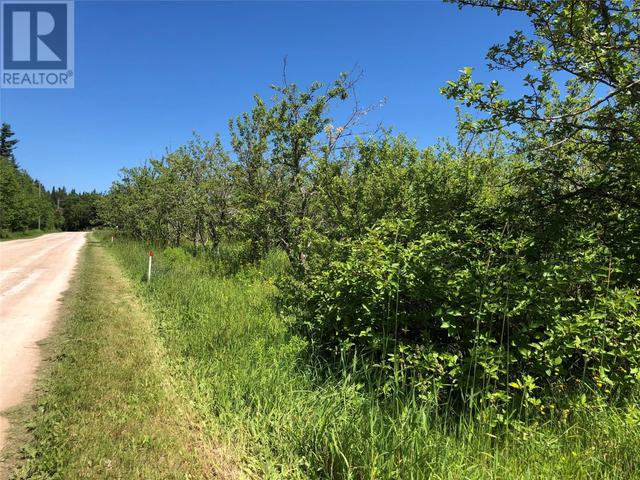 lot9 Upper Tanquil Waters Road, Home with 0 bedrooms, 0 bathrooms and null parking in Reidville NL | Image 5