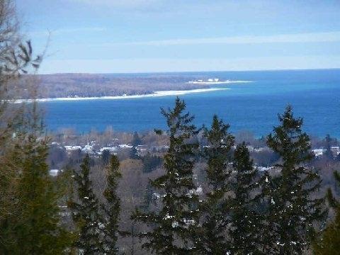 168 John St, House detached with 3 bedrooms, 3 bathrooms and 14 parking in Meaford ON | Image 18