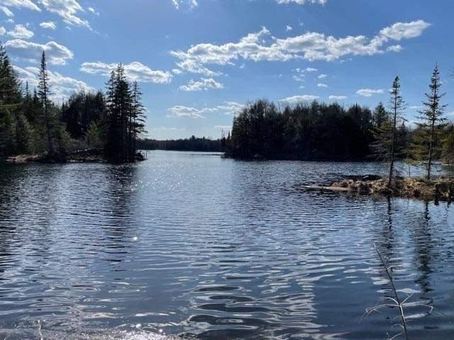 1588 County Rd 36, Home with 0 bedrooms, 0 bathrooms and null parking in Trent Lakes ON | Image 20