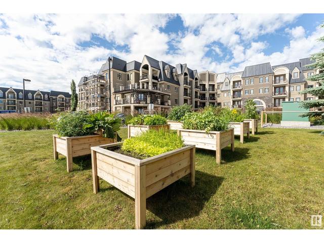 420 - 6083 Maynard Wy Nw Nw, Condo with 2 bedrooms, 2 bathrooms and null parking in Edmonton AB | Image 45