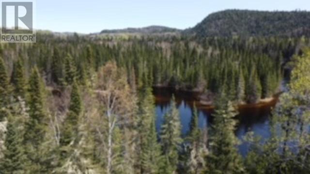 neb002 Michipicoten River, House detached with 2 bedrooms, 0 bathrooms and null parking in Wawa ON | Image 3