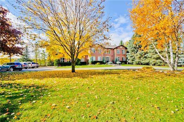 10084 Warden Ave, House detached with 4 bedrooms, 4 bathrooms and 10 parking in Markham ON | Image 2
