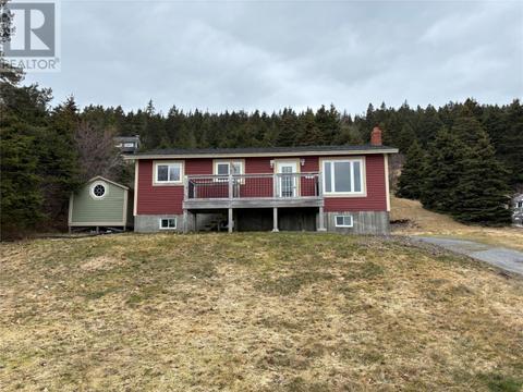251 Corporal Jamie Murphy Drive, House detached with 3 bedrooms, 1 bathrooms and null parking in Conception Harbour NL | Card Image