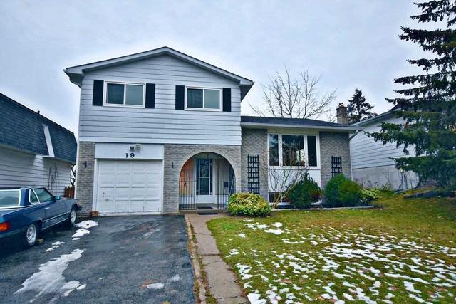 19 Carol Rd, House detached with 3 bedrooms, 2 bathrooms and 5 parking in Barrie ON | Image 25