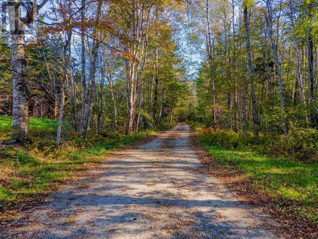 lot 2ab Borgels Drive, Home with 0 bedrooms, 0 bathrooms and null parking in Pictou, Subd. A NS | Image 4