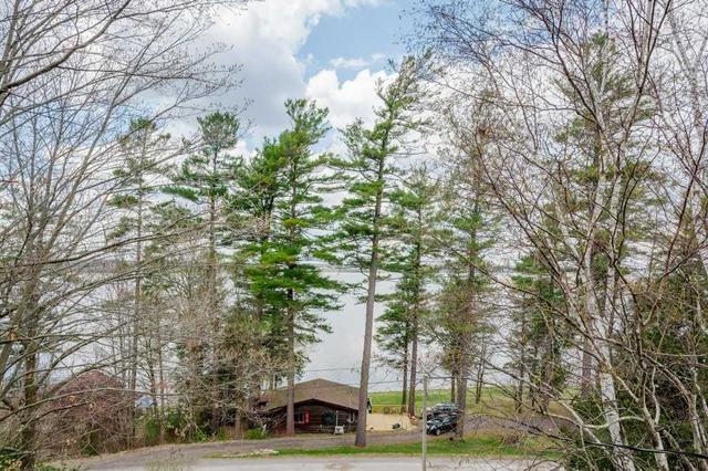 99 Birch Point Dr, House detached with 3 bedrooms, 1 bathrooms and 3 parking in Kawartha Lakes ON | Image 29