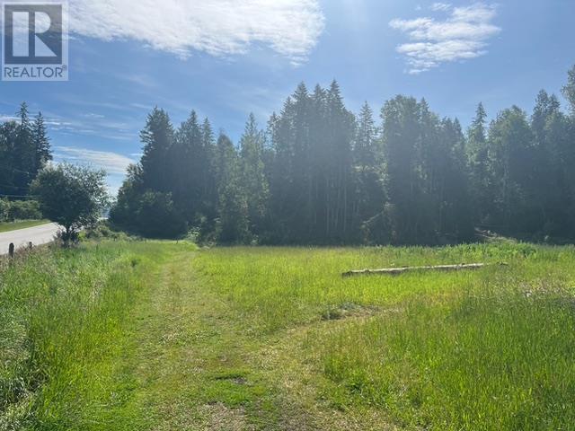 1538 Highway 6, House detached with 3 bedrooms, 1 bathrooms and 14 parking in Lumby BC | Image 61