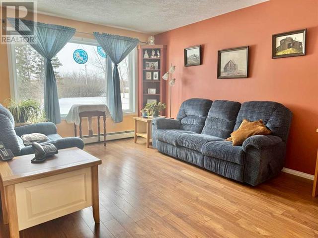 4702 50 Avenue, House detached with 3 bedrooms, 2 bathrooms and 6 parking in Smoky River No. 130 AB | Image 16