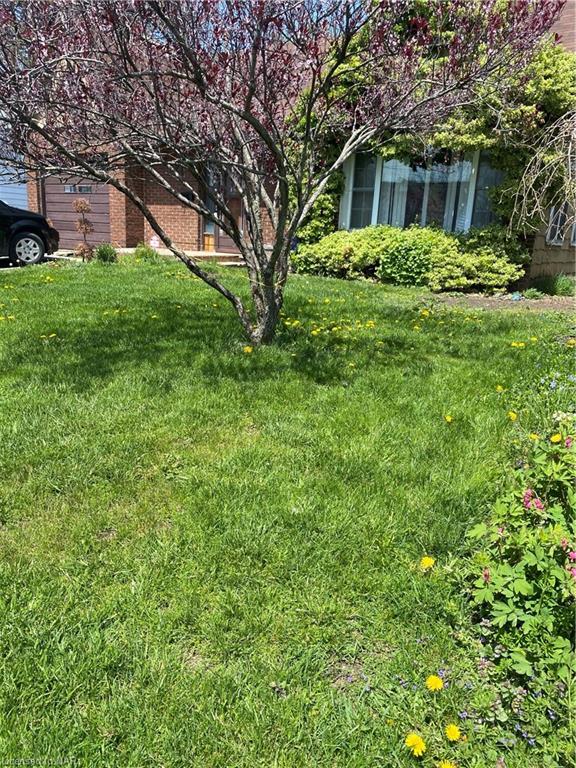 3976 Elizabeth Road Road, House detached with 3 bedrooms, 2 bathrooms and 3 parking in Fort Erie ON | Image 45