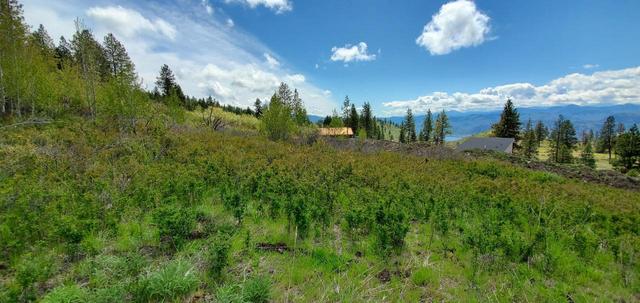 265 Chapman Road, House detached with 1 bedrooms, 1 bathrooms and 2 parking in Okanagan Similkameen A BC | Image 36