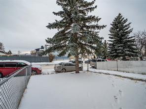 6068 Martingrove Road Ne, House detached with 3 bedrooms, 1 bathrooms and 2 parking in Calgary AB | Image 25
