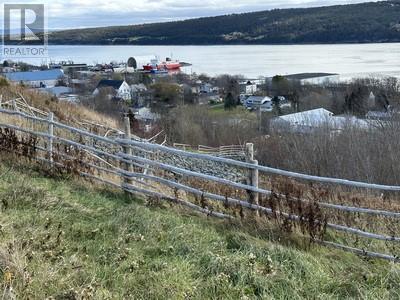 119 - 123 Lady Lake Road, House detached with 3 bedrooms, 1 bathrooms and null parking in Harbour Grace NL | Image 10