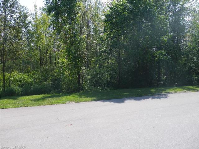 Wooded Area Across the Road | Image 14